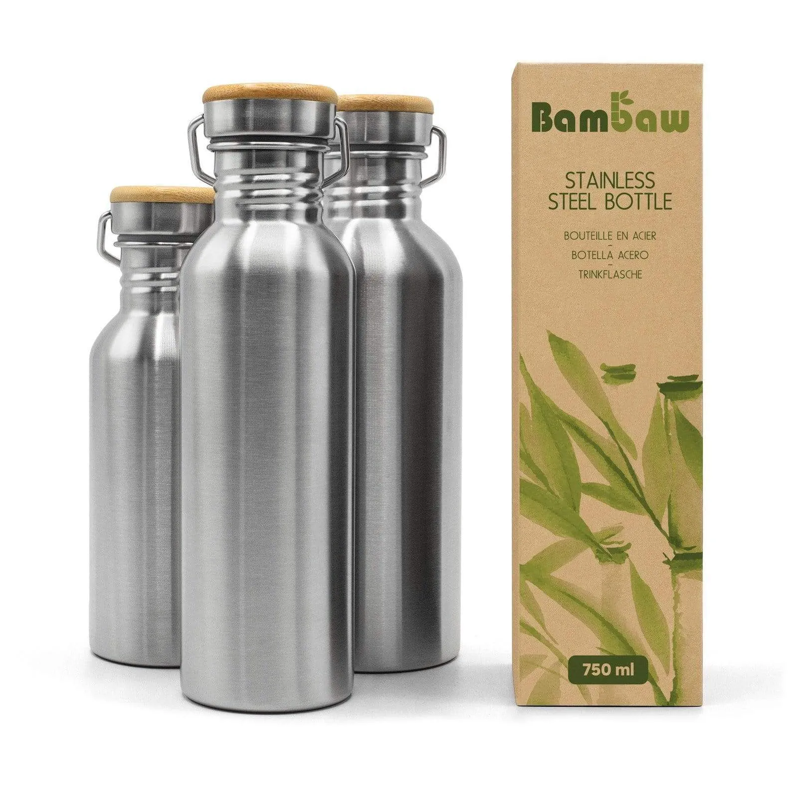 Stainless Steel Bottle