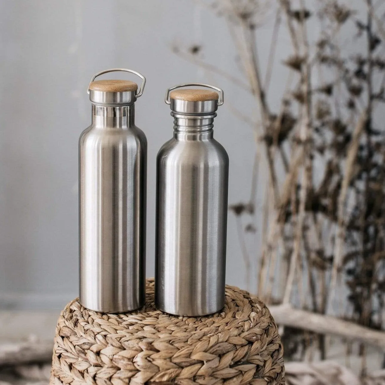 Stainless Steel Bottle